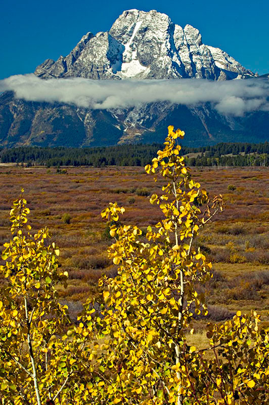 Fall image of Mount Moran looking across the Jackson Hole prairie fromn behind Jackson Lake Lodge in Grand Teton National park